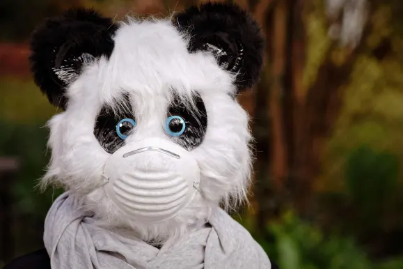 SilverPlay Casino Kundeservice